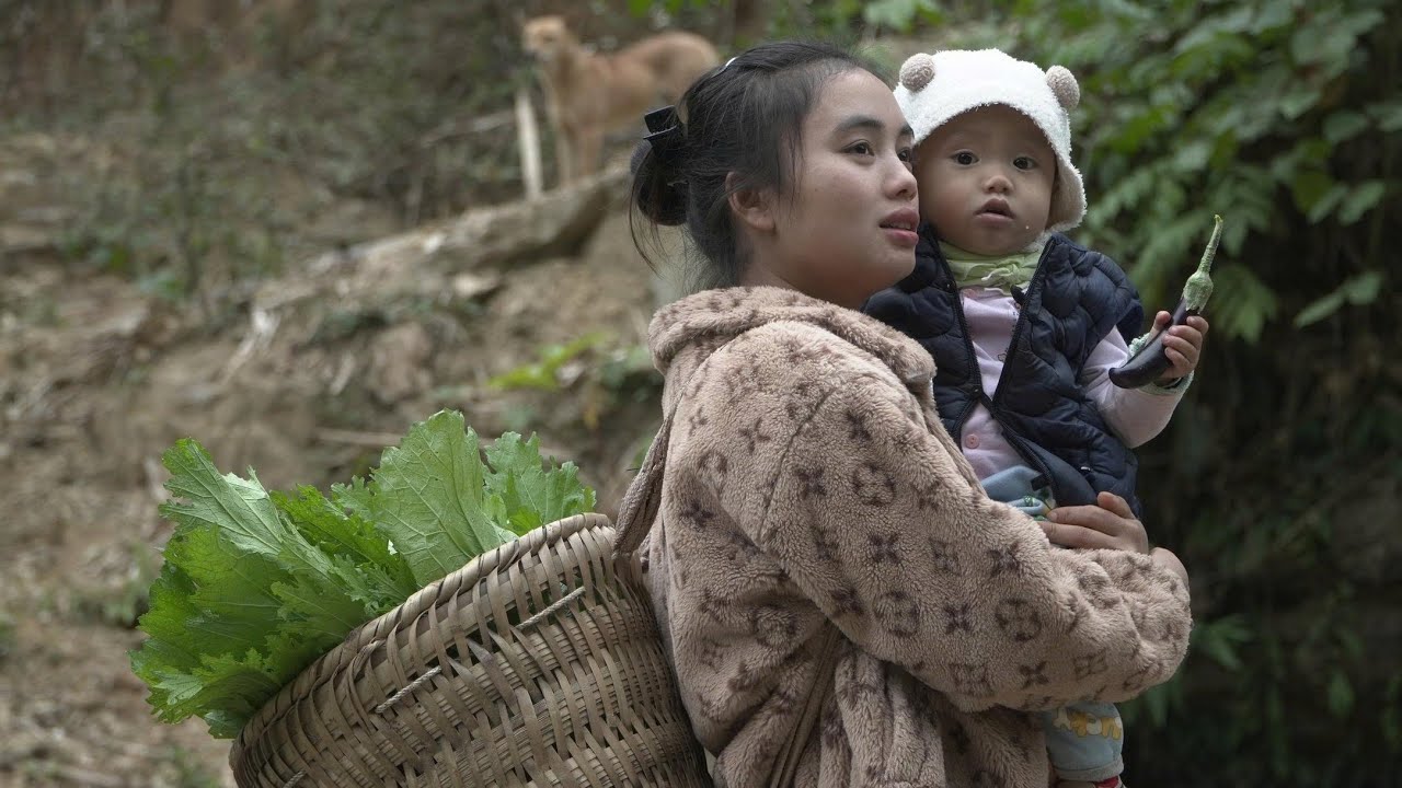 Zin's long journey: A quest to find his parents in the South.