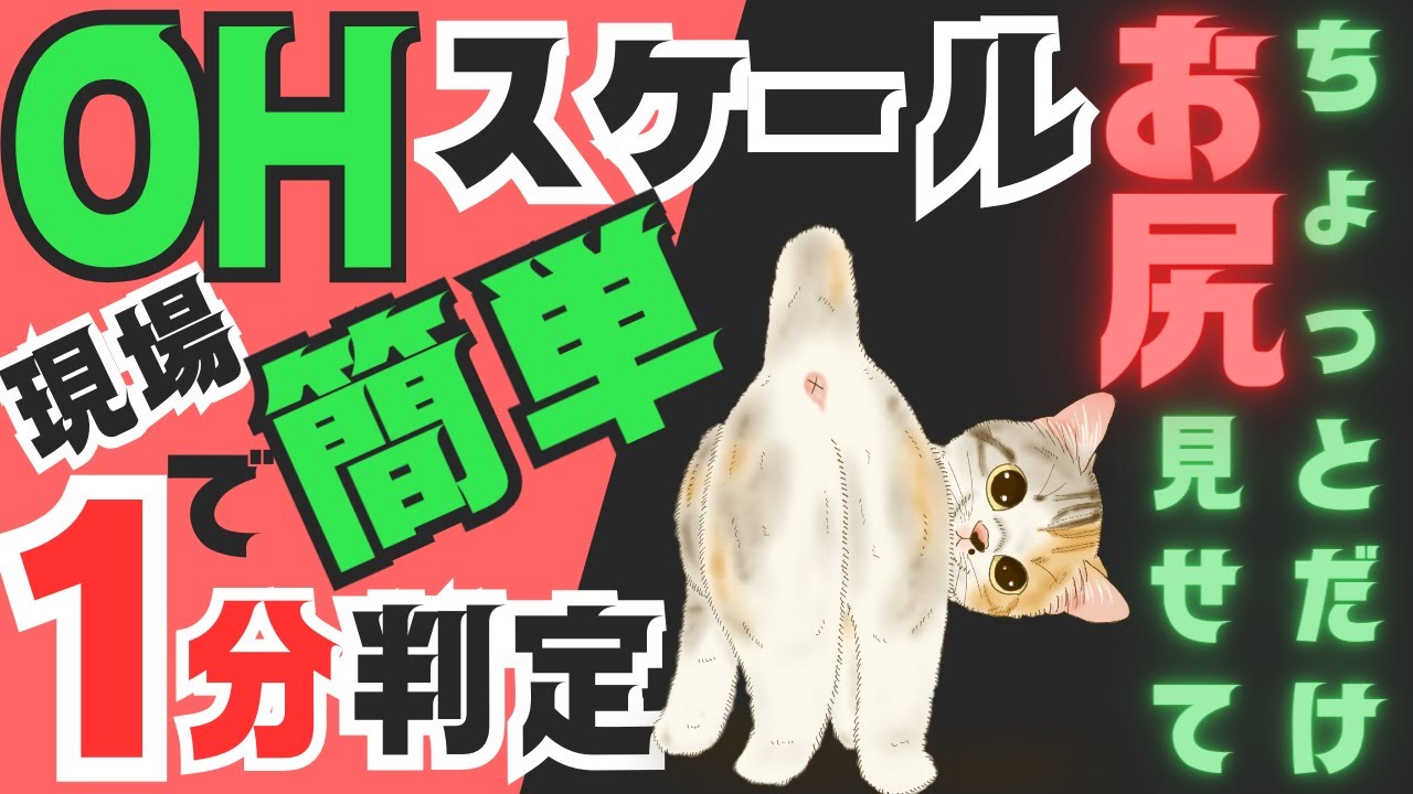 【褥瘡ケアの基礎と実践】OHスケールの判定方法を簡単解説👆＃リスクアセスメント ＃訪問看護 ＃褥瘡予防ケア ＃認定看護師  #WOC