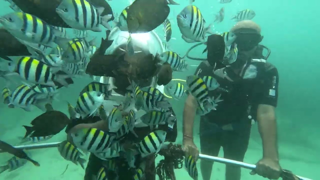 SCUBA diving 