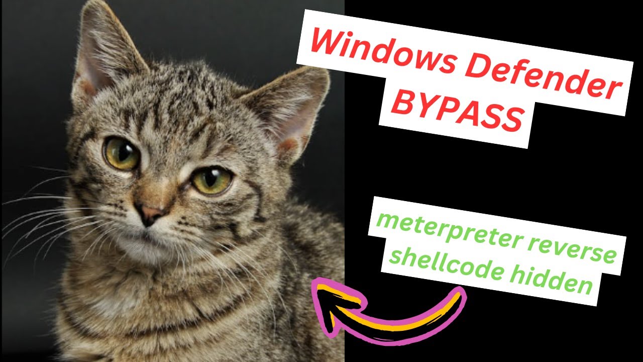 Cyber Security - Bypass Windows Defender with Steganography/WafflesExploits