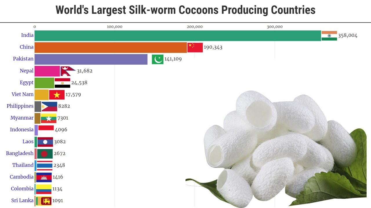 Data Is Beautiful - World's Largest Silk-worm Cocoons Producing Countries (1961 - 2025)
