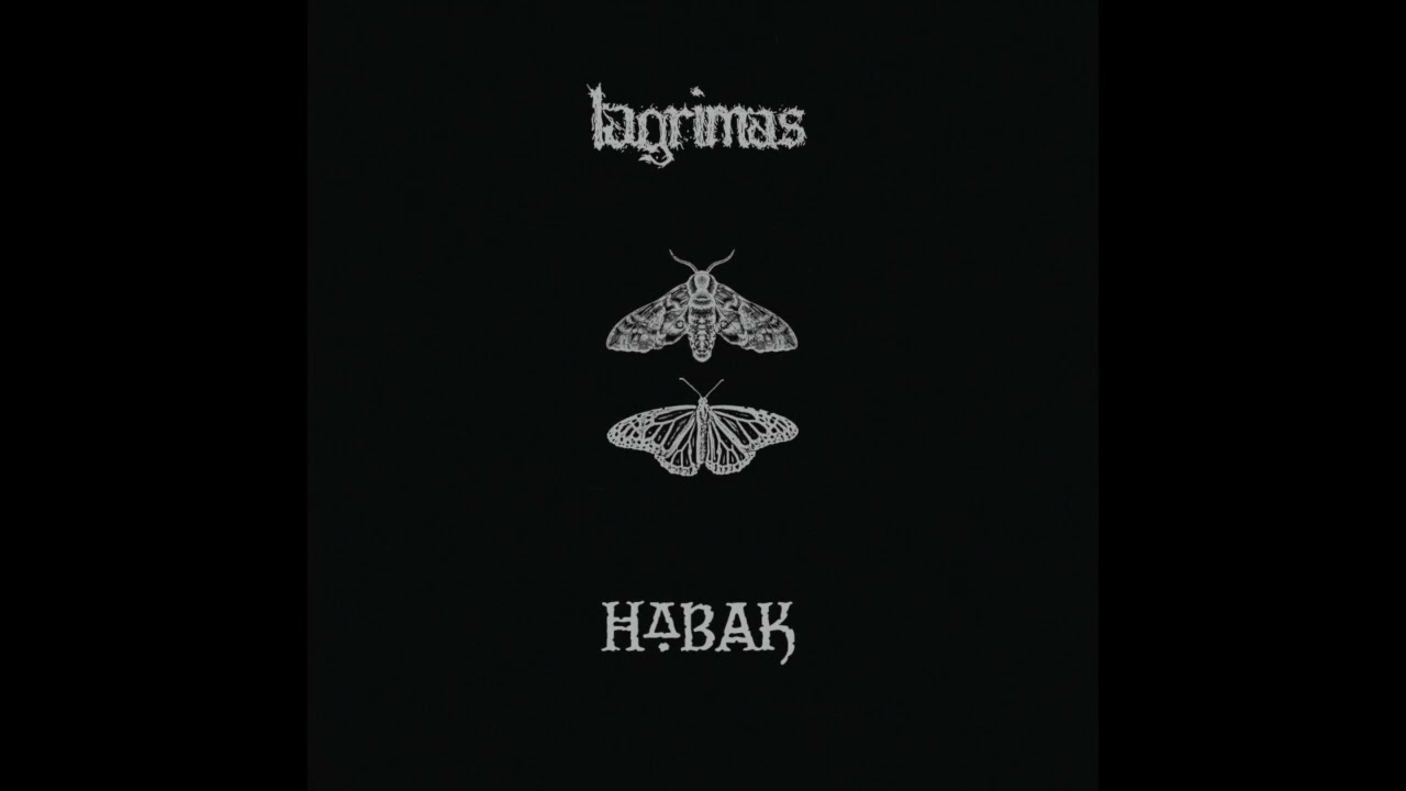Lagrimas/Habak - split