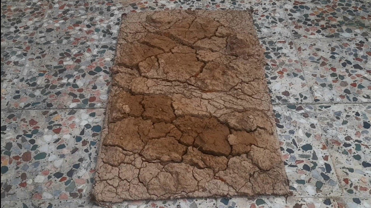 This Rug Was Actually Crawling| Wait Until You See What's Underneath Satisfying ASMR Carpet Cleaning