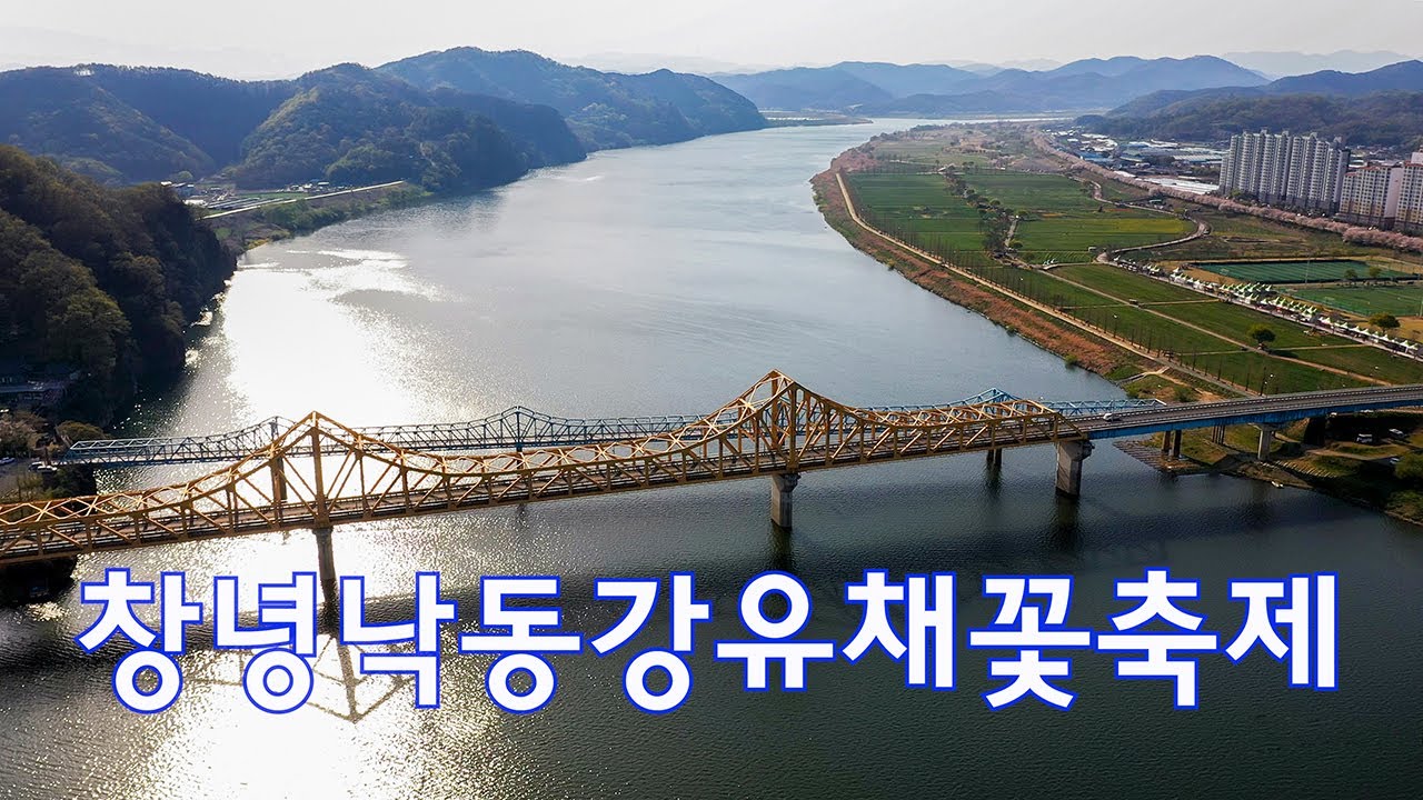 미리보는 창녕낙동강유채꽃축제 4k드론영상 | 남지유채단지 | 4월축제 | 창녕가볼만한곳 | 봄꽃축제 | 남지철교 | 낙동강유채단지 | 4k Drone Footage148