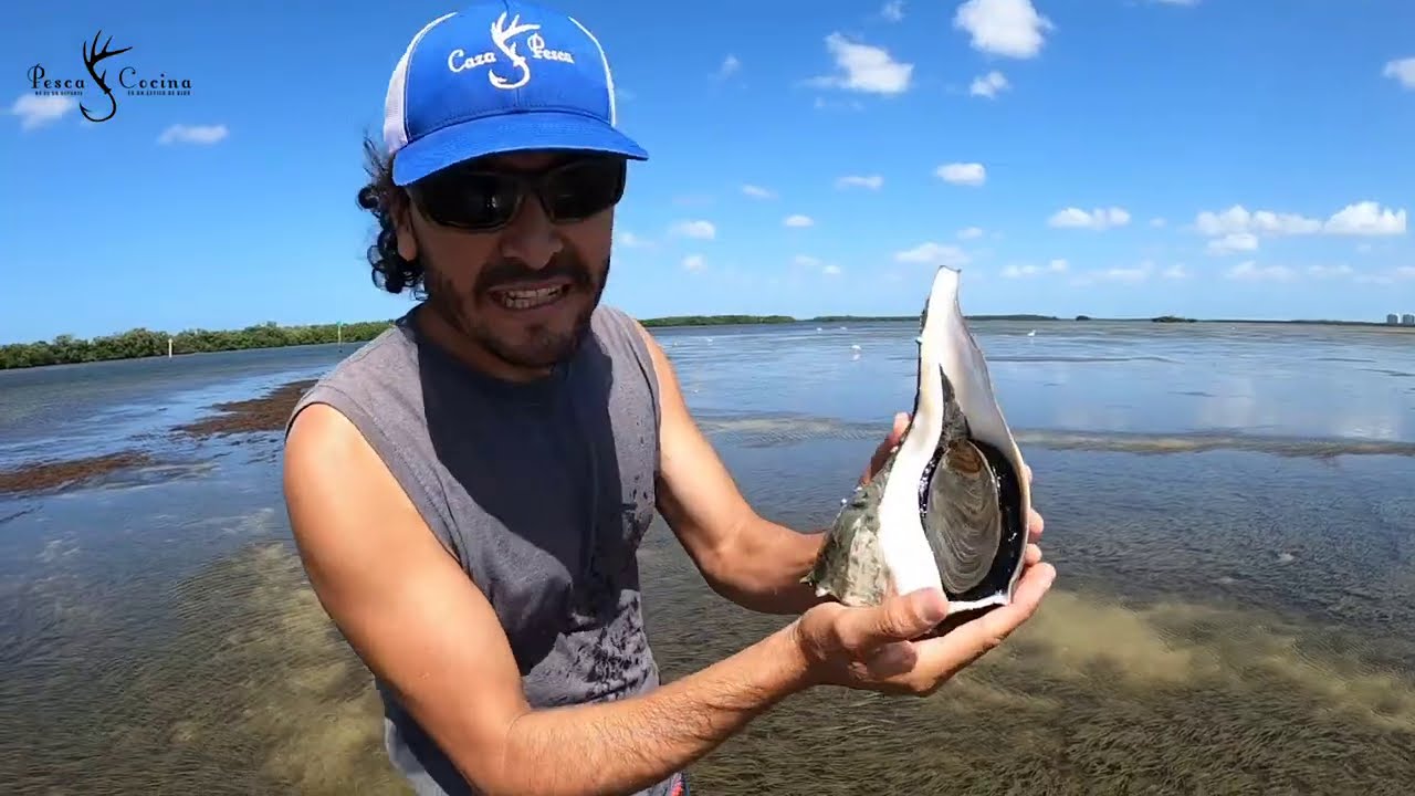 Sopa De Caracol Gigante Atrapando Y Cocinando