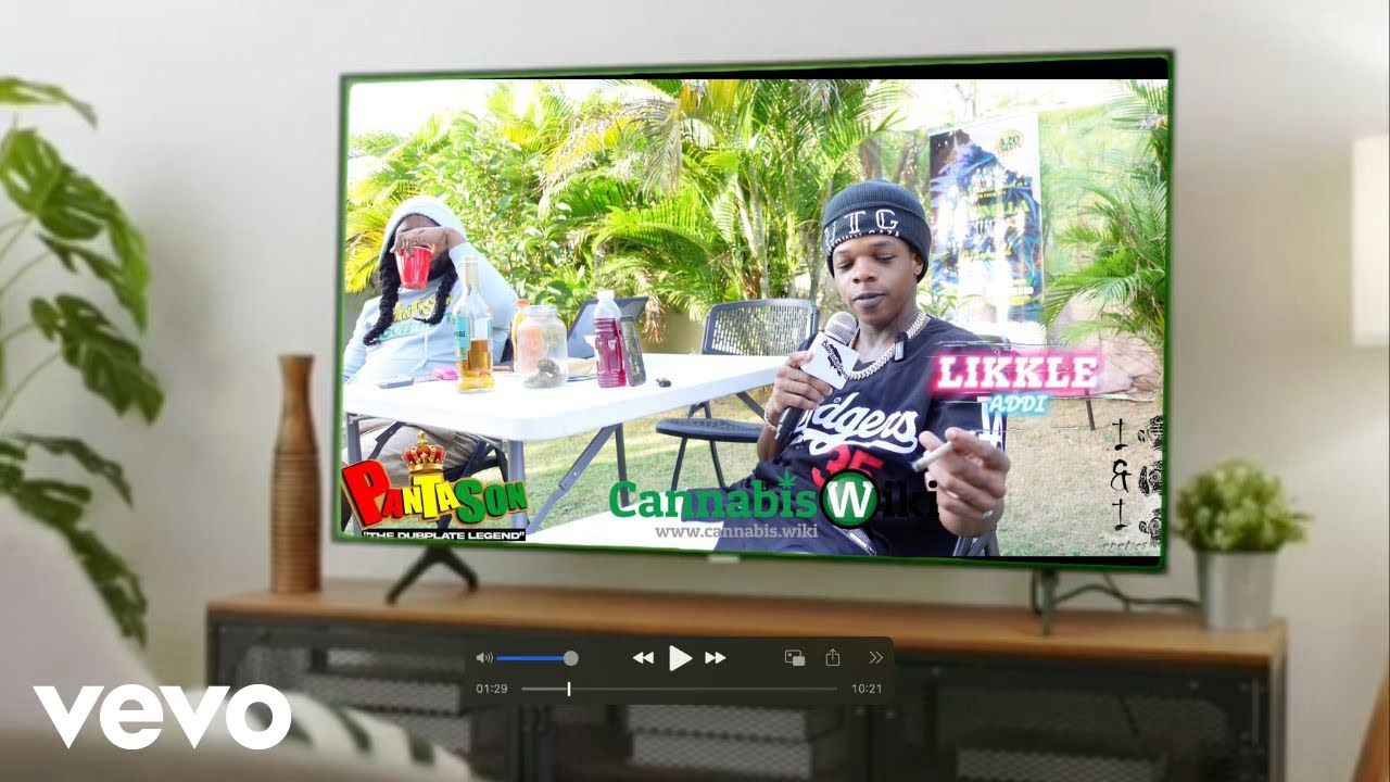Likkle Addi, Panta Son - Ganja View - Cannabis Wiki - 2025