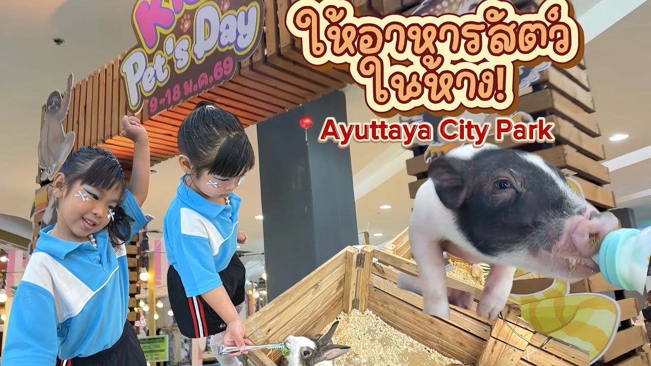 สวนสัตว์ในห้าง AyuttayaCityPark 9-18 มค. 🐽 #น้องดรีมลูกแม่นิวพ่อโต๊ด