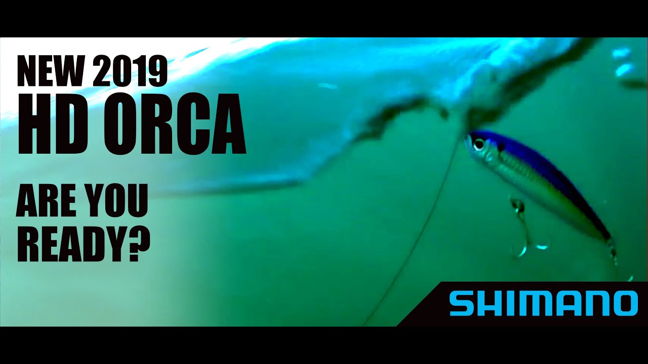 2019 Shimano HD-ORCA