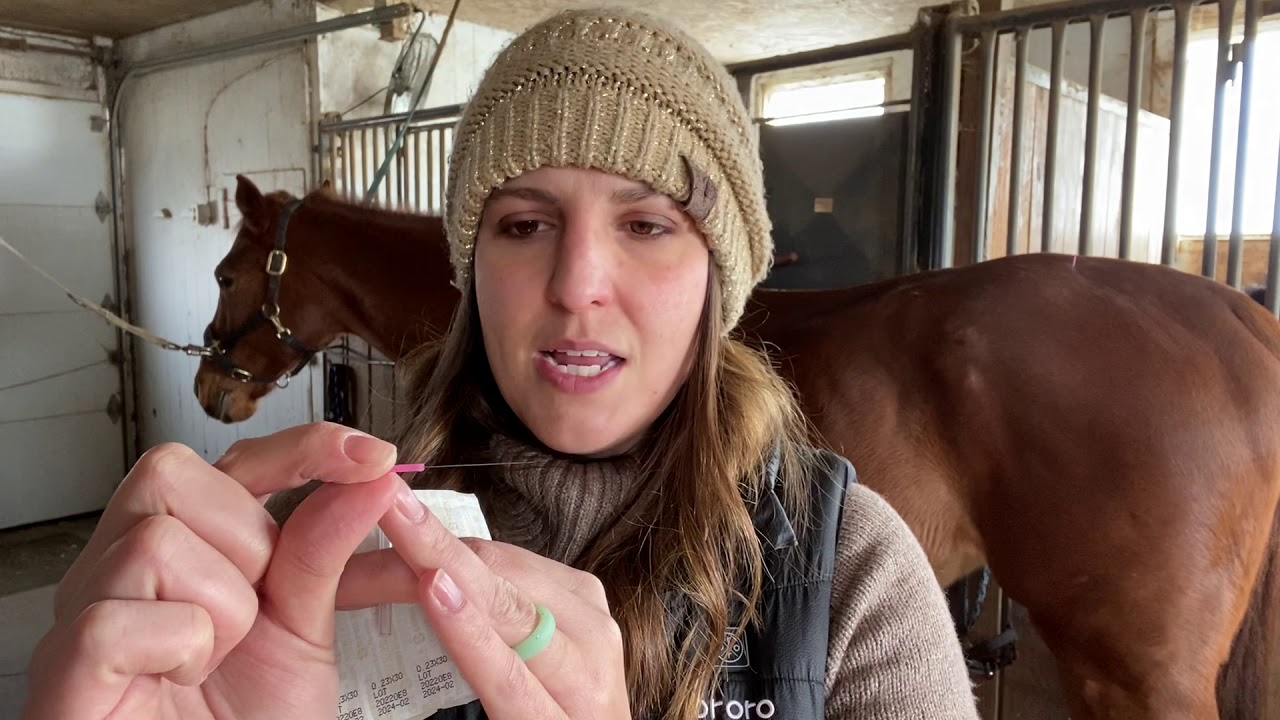 Acupuncture demonstration