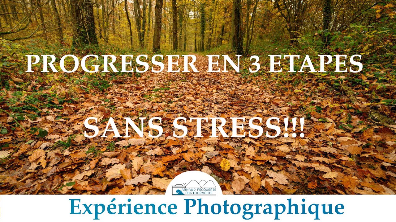 Trois étapes pour progresser en photos| Tuto Photographie