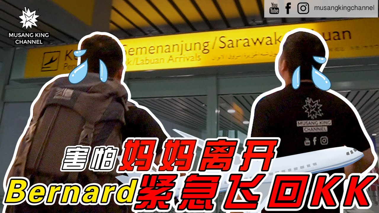 害怕妈妈离开 Bernard紧急飞回KK