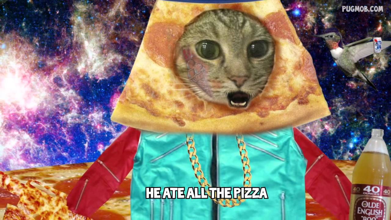 THE PIZZACAT 