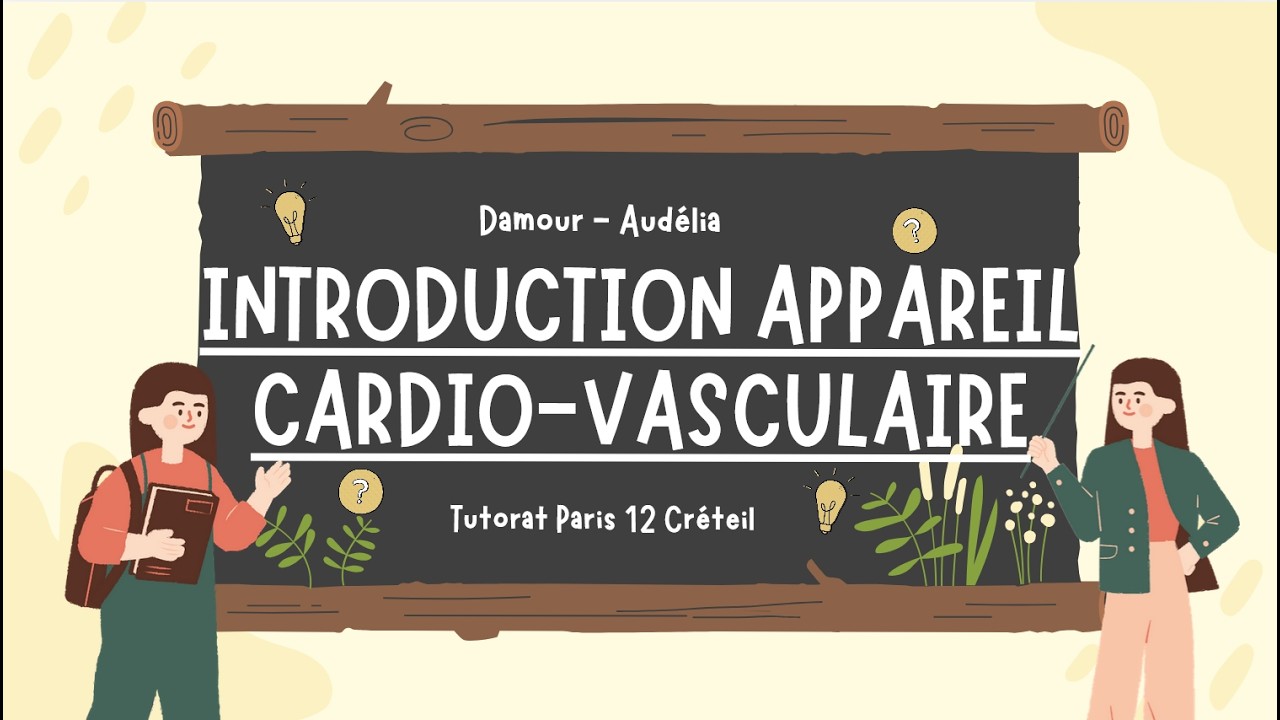 Introduction et généralité sur l'appareil cardiovasculaire