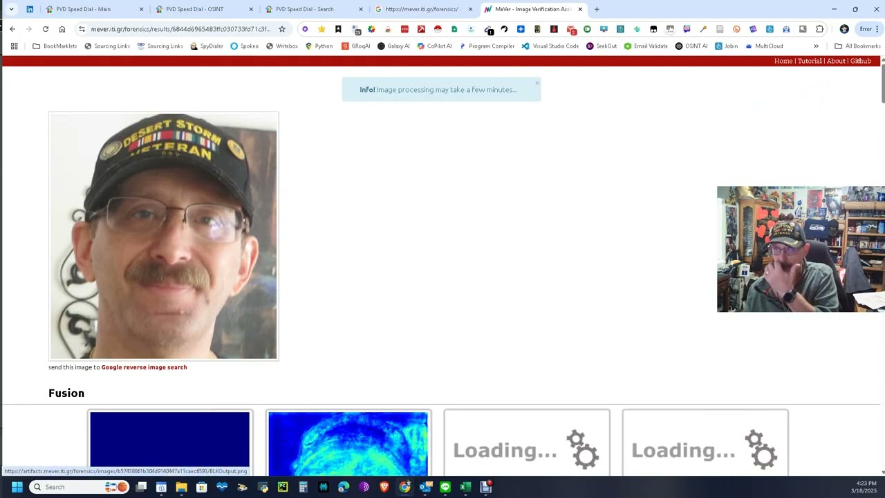 Image Verification Assistant