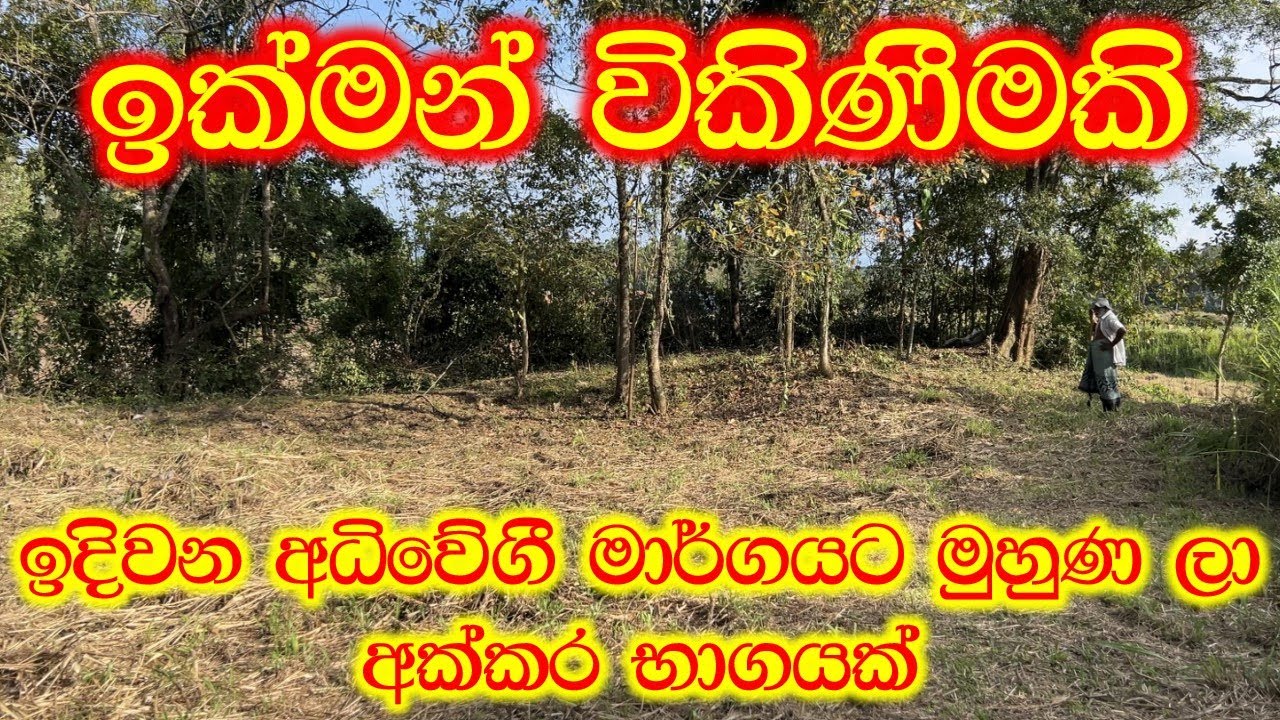 අධිවේගී මාර්ගයට මුහුණ ලා අඩුවට ඉඩමක් | real estate | land for sale | Luxury Sri Lanka | maddumaya
