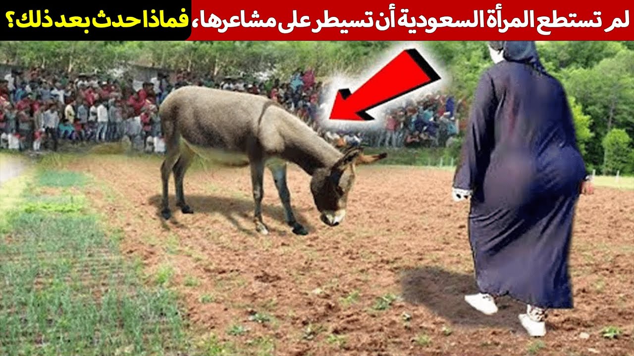 لماذا، بالله عليك، ينتشر هذا الفيديو القادم من السعودية بسرعة كبيرة؟