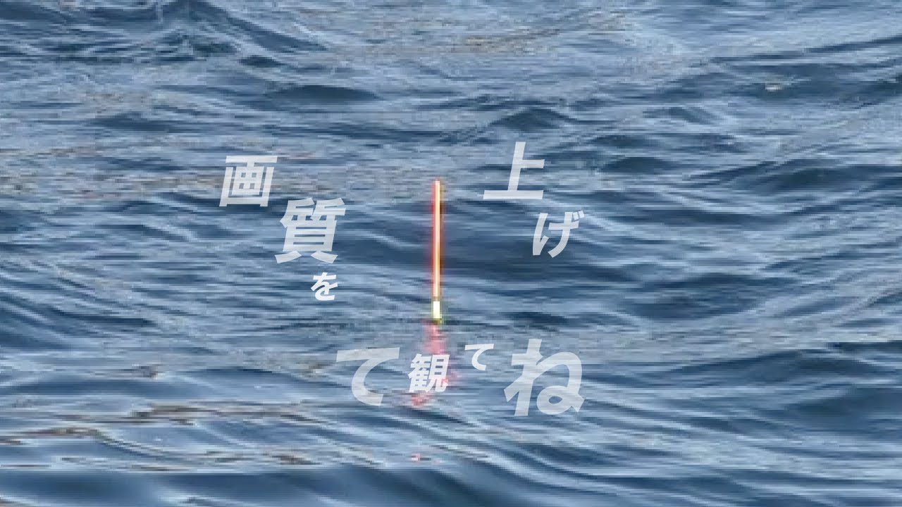 「ウキあたりシーンあり」1月の釣行3本立て。ウキフカセと小さなダンゴ釣り #ウキフカセ釣り #紀州釣り #ウキアタリ