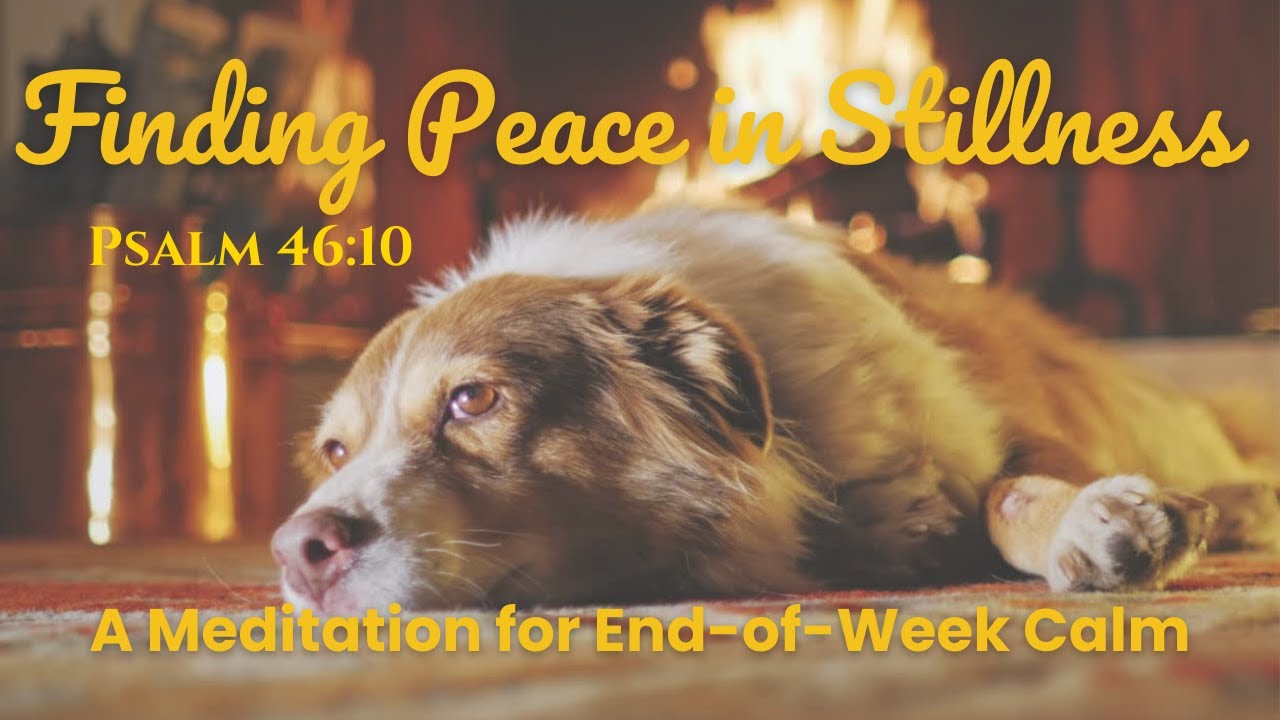 Day 9 - Finding Peace in Stillness | A Meditation for End-of-Week Calm