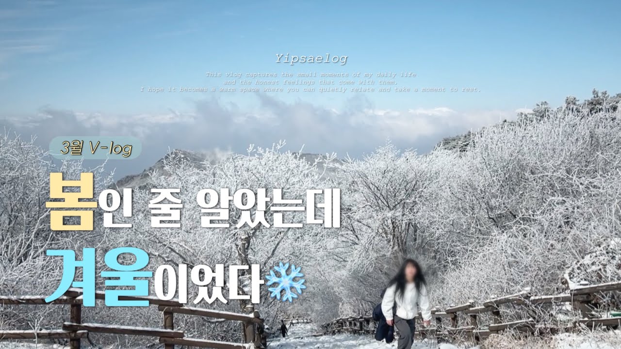 3월인데 설산이라고? 구례 지리산 노고단에서 만난 환상적인 풍경