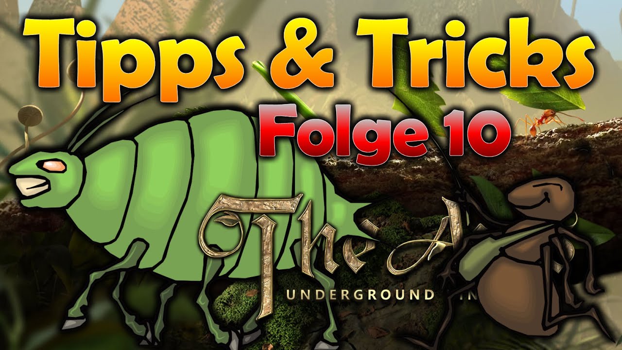 The Ants, Fleisch, Wasser, Planzen, Pilze sparen mit Nestumbau, Mega Tipp / Folge 10