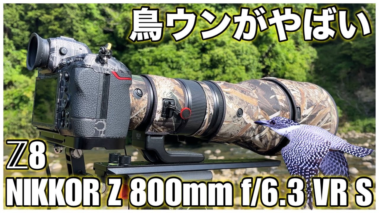 【野鳥撮影】ヤマセミ撮影での鳥ウンがやばかった - Z8 × NIKKOR Z 800mm f/6.3 VR S -