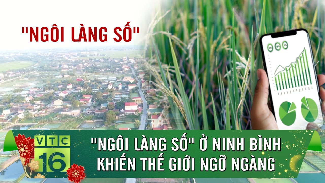 “Ngôi làng số” thuần nông ở Ninh Bình khiến thế giới ngỡ ngàng | VTC16