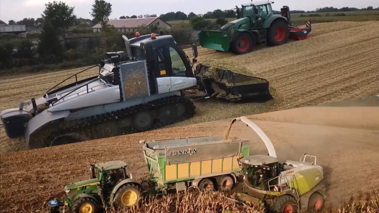 MAIS-ERNTE 2023 mit Pistenraupe