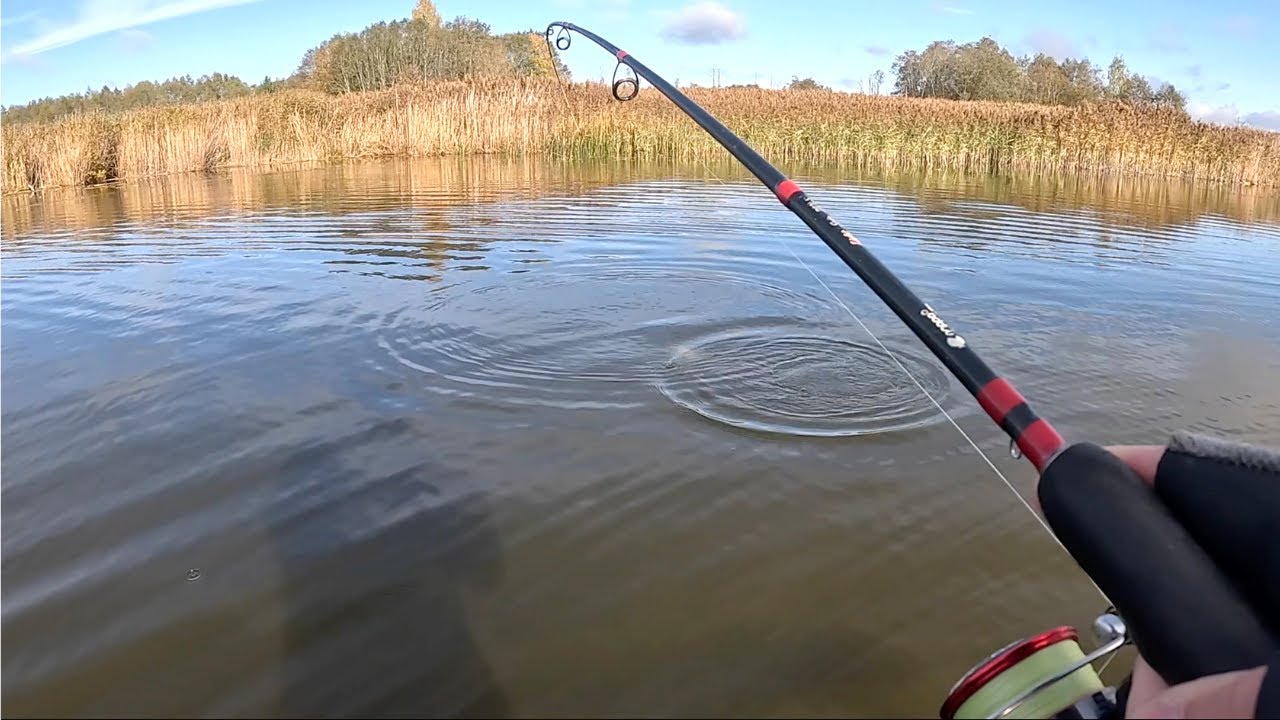 Lydekų žvejyba spiningu