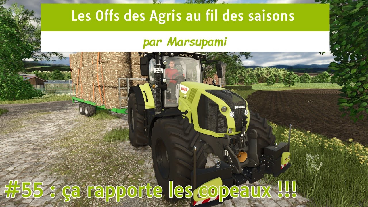 Les Offs des Agris au fil des saisons - 55 - ça rapporte les copeaux !!!