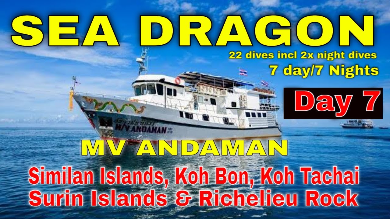 День 7: Симиланские острова — Sea Dragon — MV Andaman Liveaboard — Андаманское море — Дайвинг