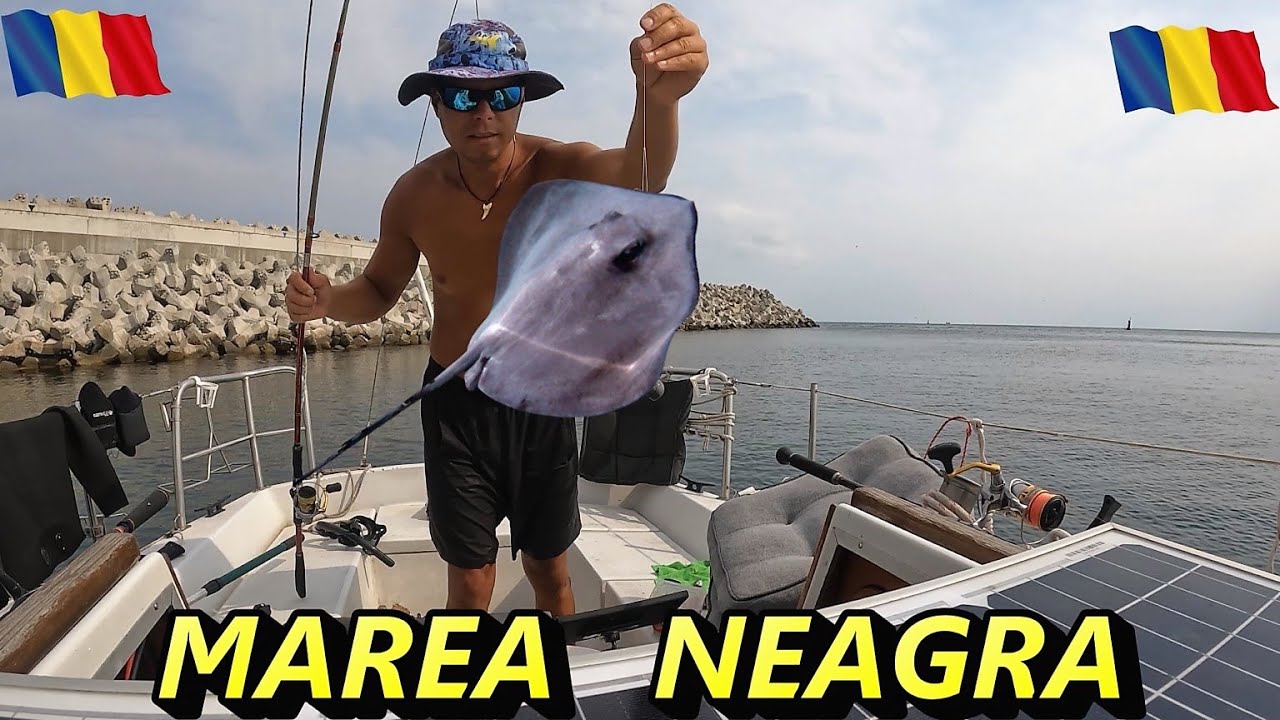 Am prins o Pisica de mare la montura de guvide in Marea Neagra. EPISODUL  128