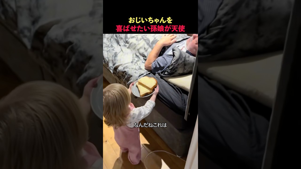 おじいちゃんを喜ばせたい孫娘が天使すぎる！#shotrs