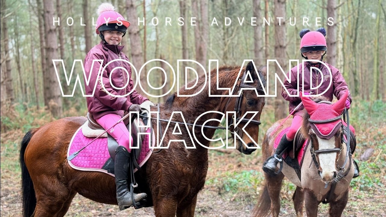 Exploring the Woods with our friends Etta & Vardy 🐴✨
