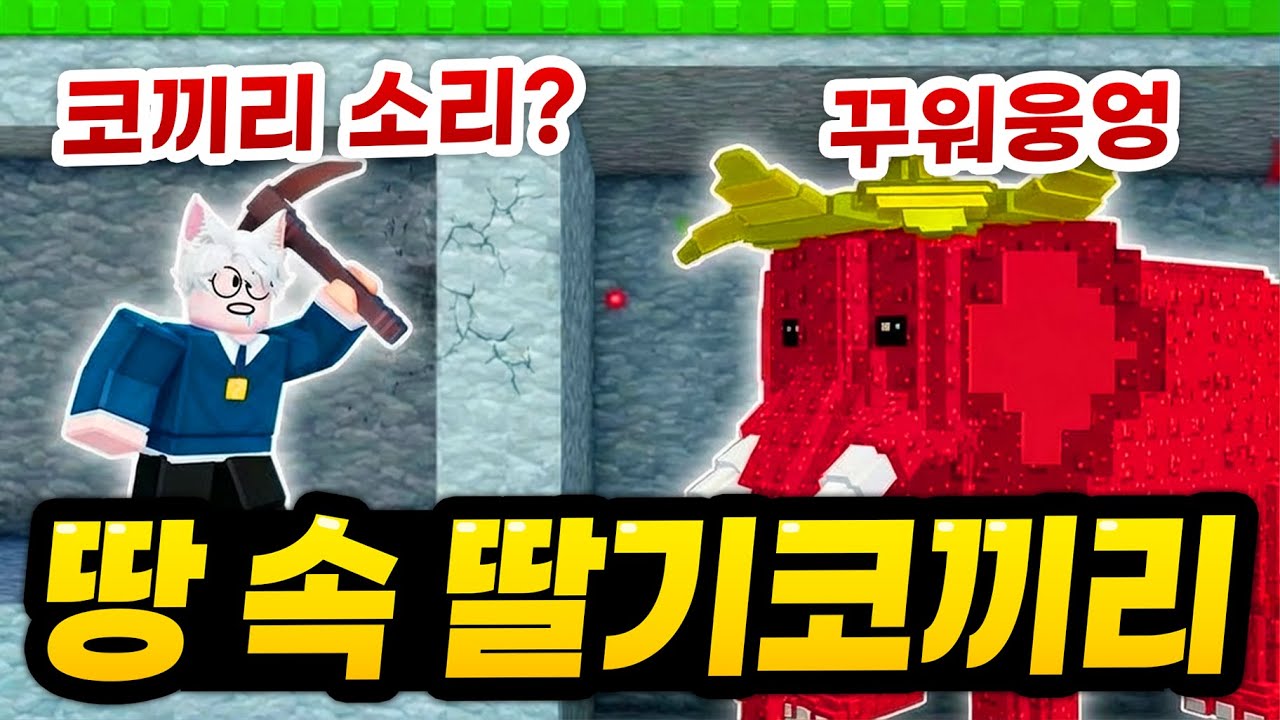 말량아 백날 땅을파봐라 돈이나오나! 딸기 코끼리가 나오던데요? ㅋㅋㅋㅋ  땅파서 나온 시크릿들로 부자 채굴기지 만들기 대작전! (로블록스 마이닝 브레인롯)