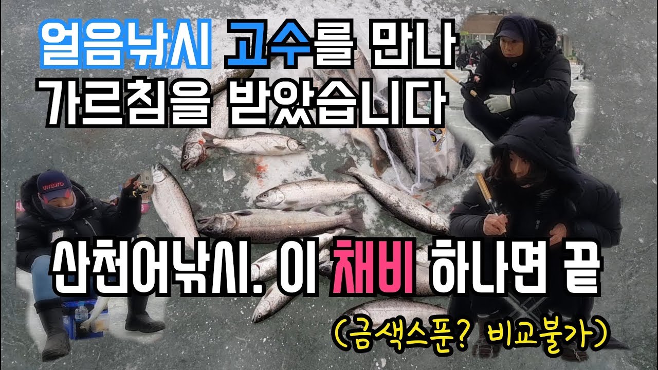 처음 가본 화천 산천어 축제. (고수의 가르침으로 22마리 잡았습니다!!) #송어축제#산천어축제