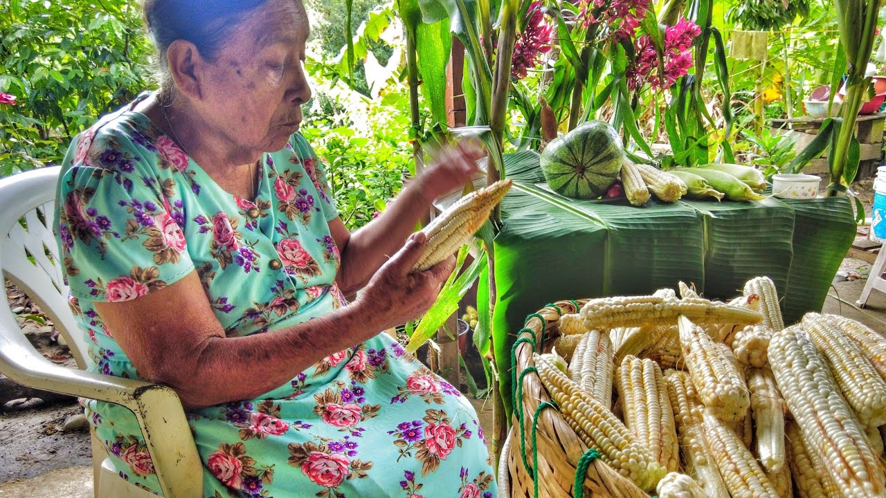 RITUAL DE AGRADECIMIENTO DEL ELOTE 🌽 CON PATLACHES, XAMITL Y ATOLE AGRIO 🙌 EN COXCATLÁN, S.L.P.
