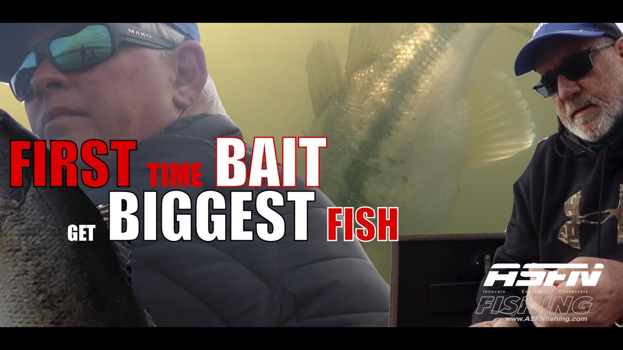 First time bait catches biggest fish | Albert Falls ​⁠| ASFN Bass