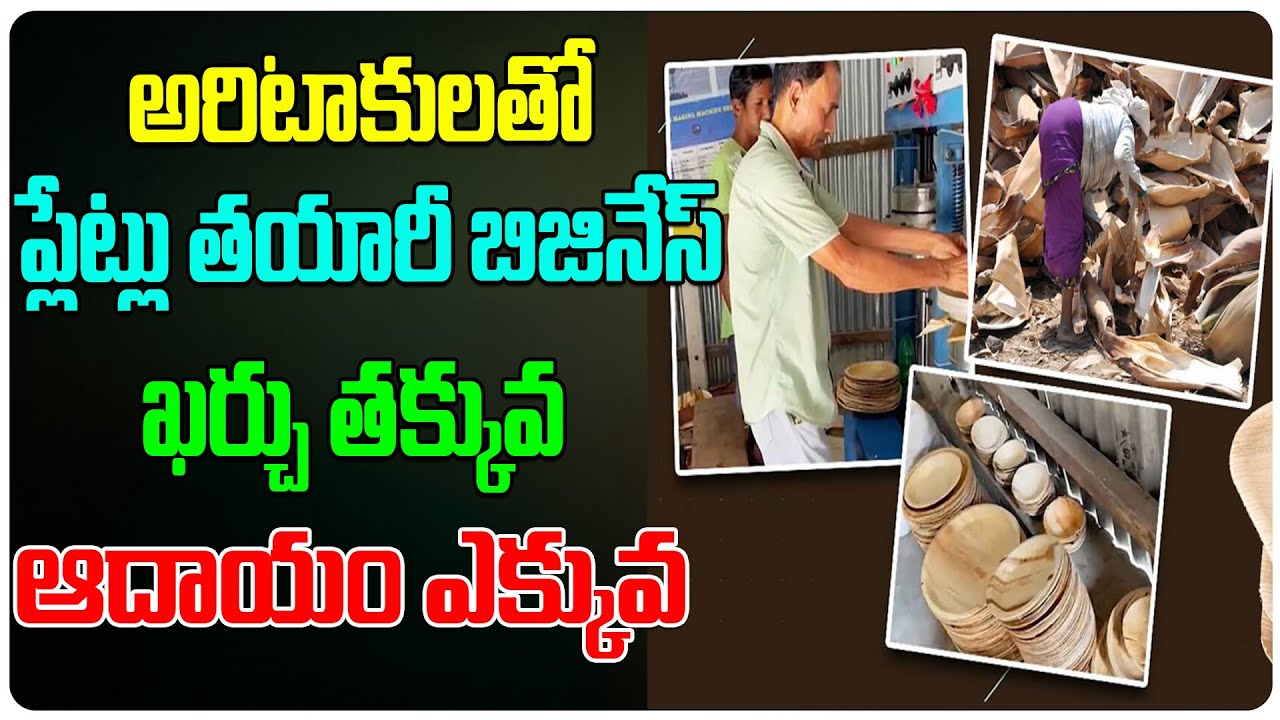 Low Investment High Profit | Areca Leaf Plates Business | Areca Plates business Tips | Business Tree