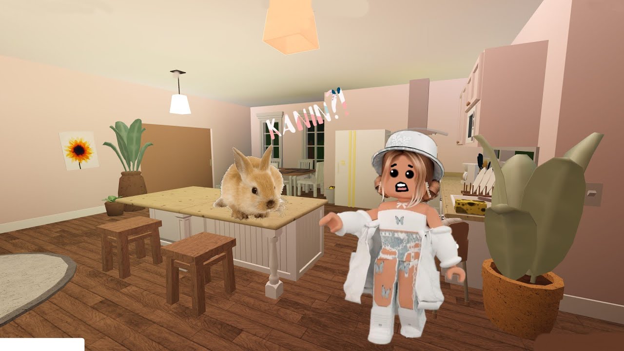 Skaffar kanin?! p.1!!!