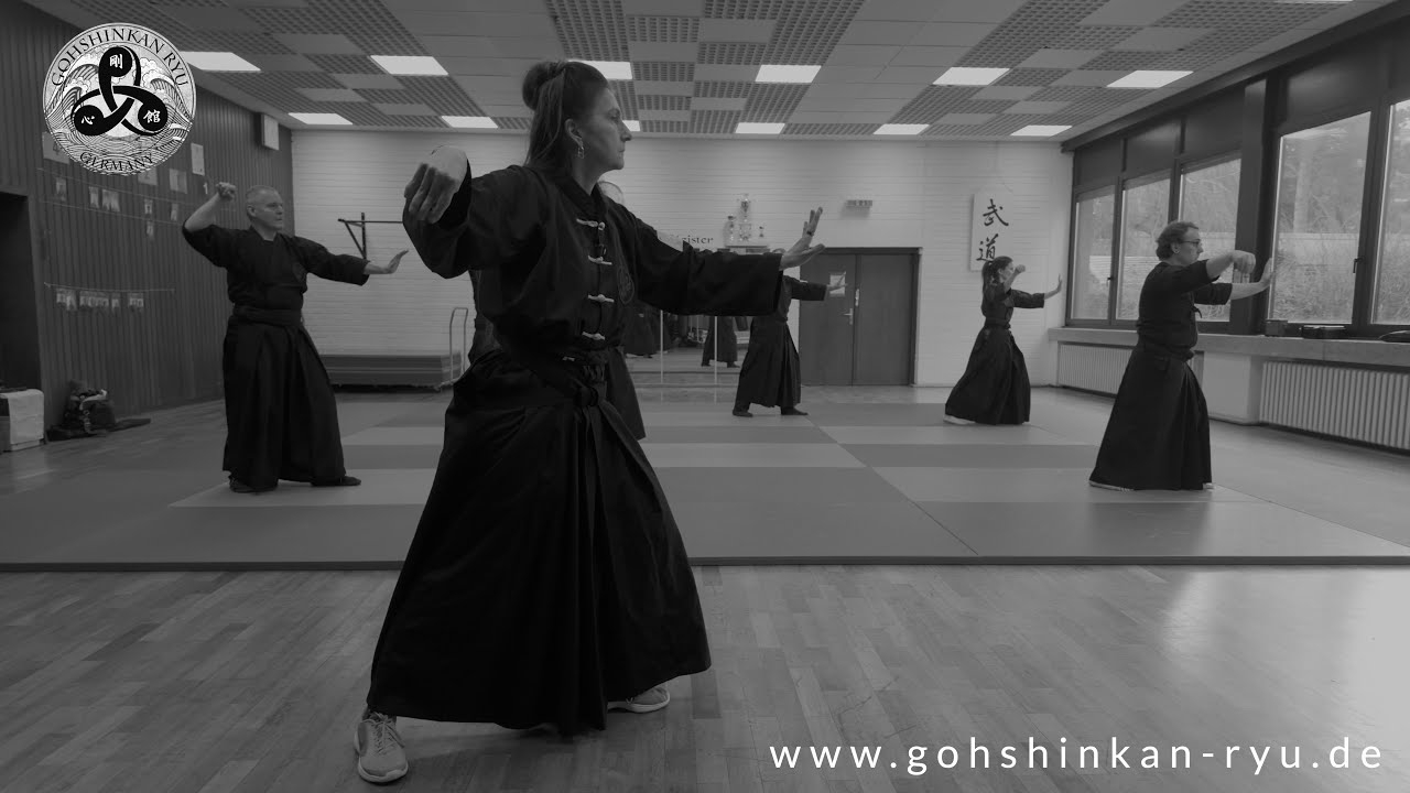 Tai Chi Lesson 1 Februar 2026 Deutsch