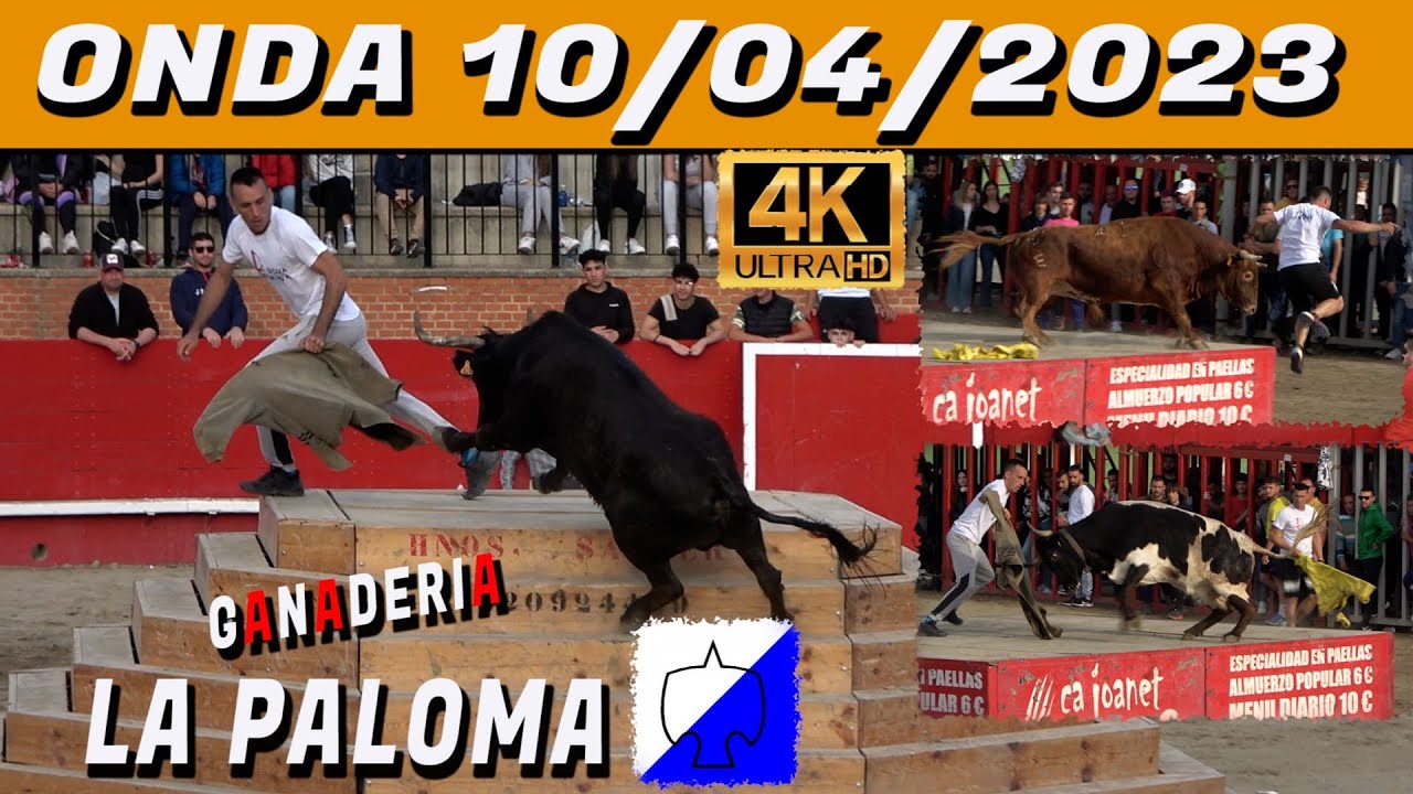 💯✅ONDA GANADERIA LA PALOMA 2023