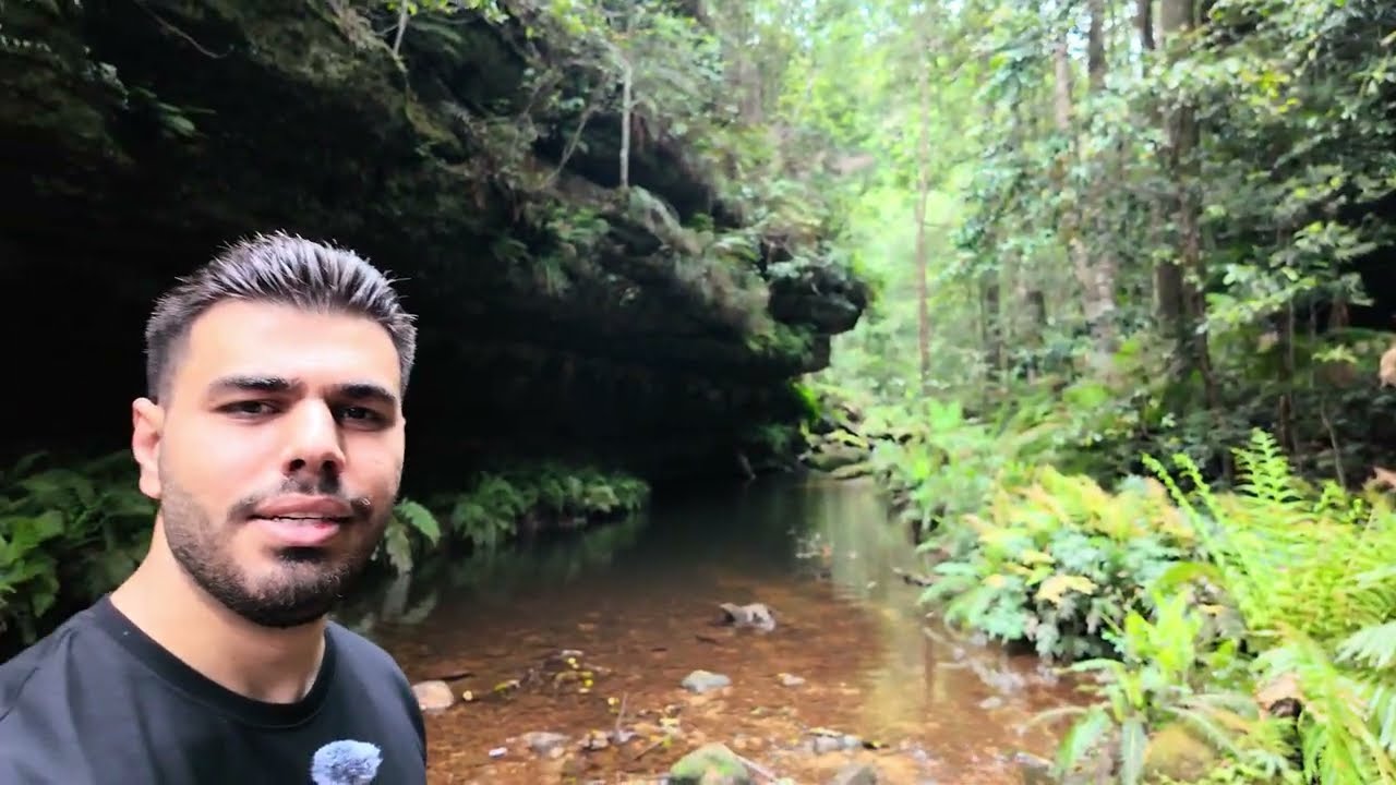 دخلت على اجمل غابات استراليا🇦🇺🌳