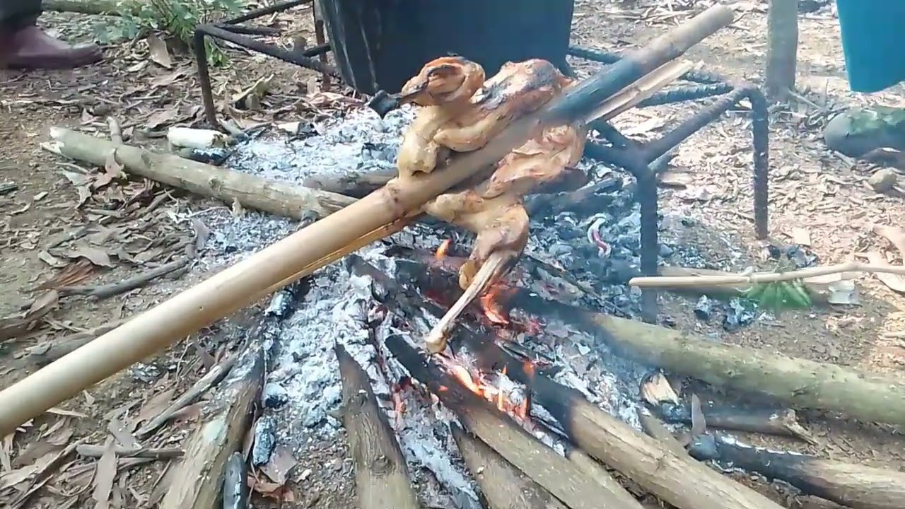 bẫy được con gà rừng nướng ăn ngay trên núi