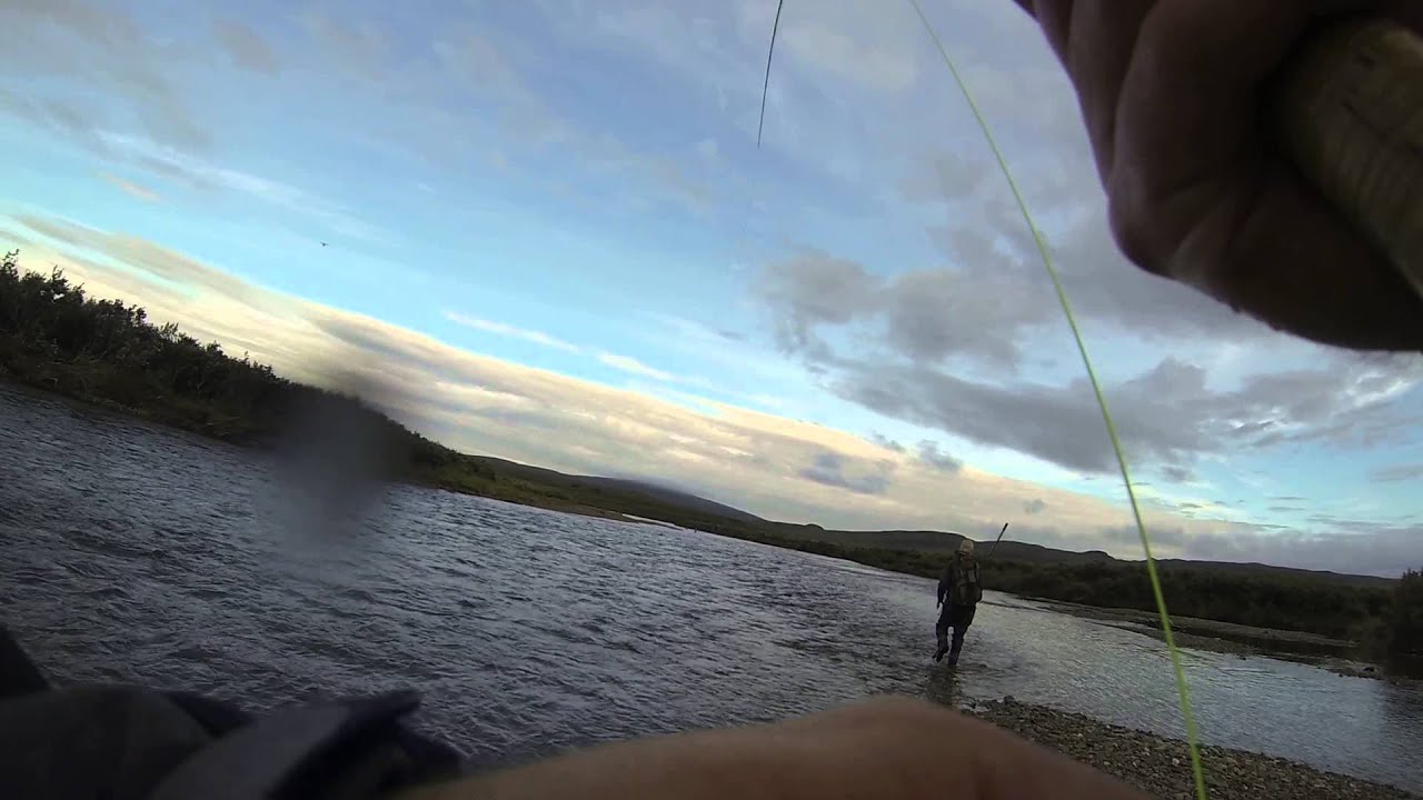 Fly Fishing For Alaskan Rainbow Trout