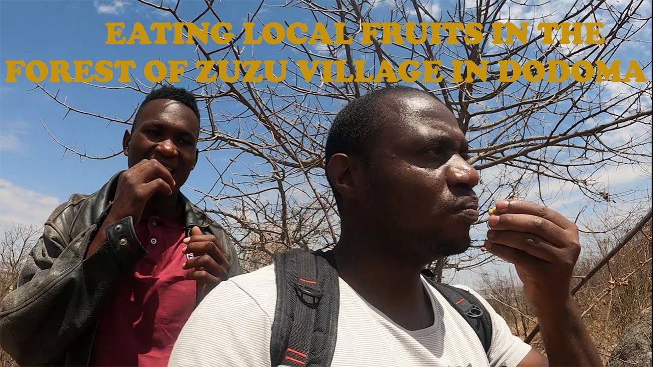 WE ATE LOCAL DRY FRUITS IN THE FOREST AT ZUZU VILLAGE DODOMA TANZANIA