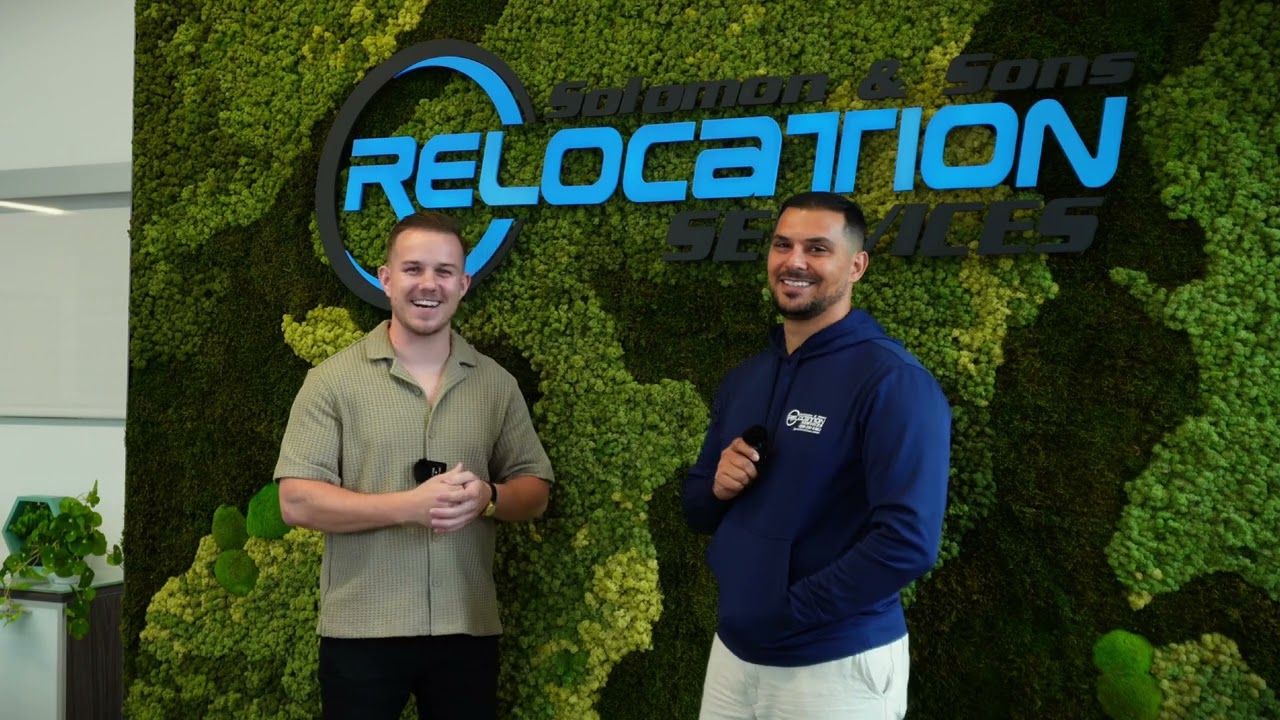 Preserved Moss Wall 3-Year Review | Zero-Maintenance, Dust-Free, No Fading