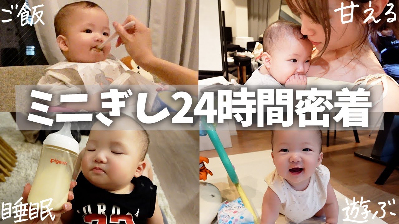 自由奔放なミニぎしを１日密着してみたら可愛すぎて幸せな空間すぎた