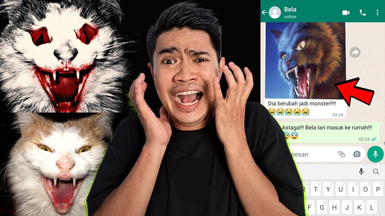 KUCING AKU BERUBAH JADI MONSTER!!!