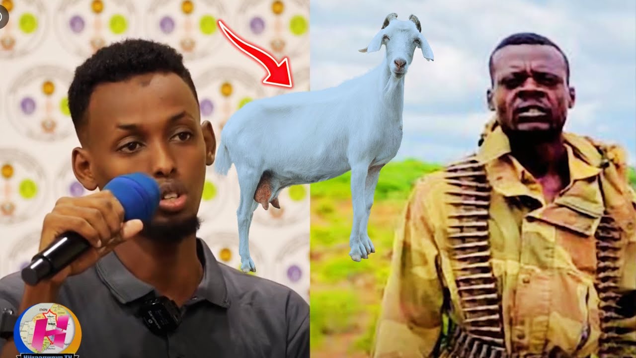 Sarkaal Ciidan oo Neef Adhi ah dartiis u dilay Nin kale oo Shacab ah - Dhacdo Yaab leh.