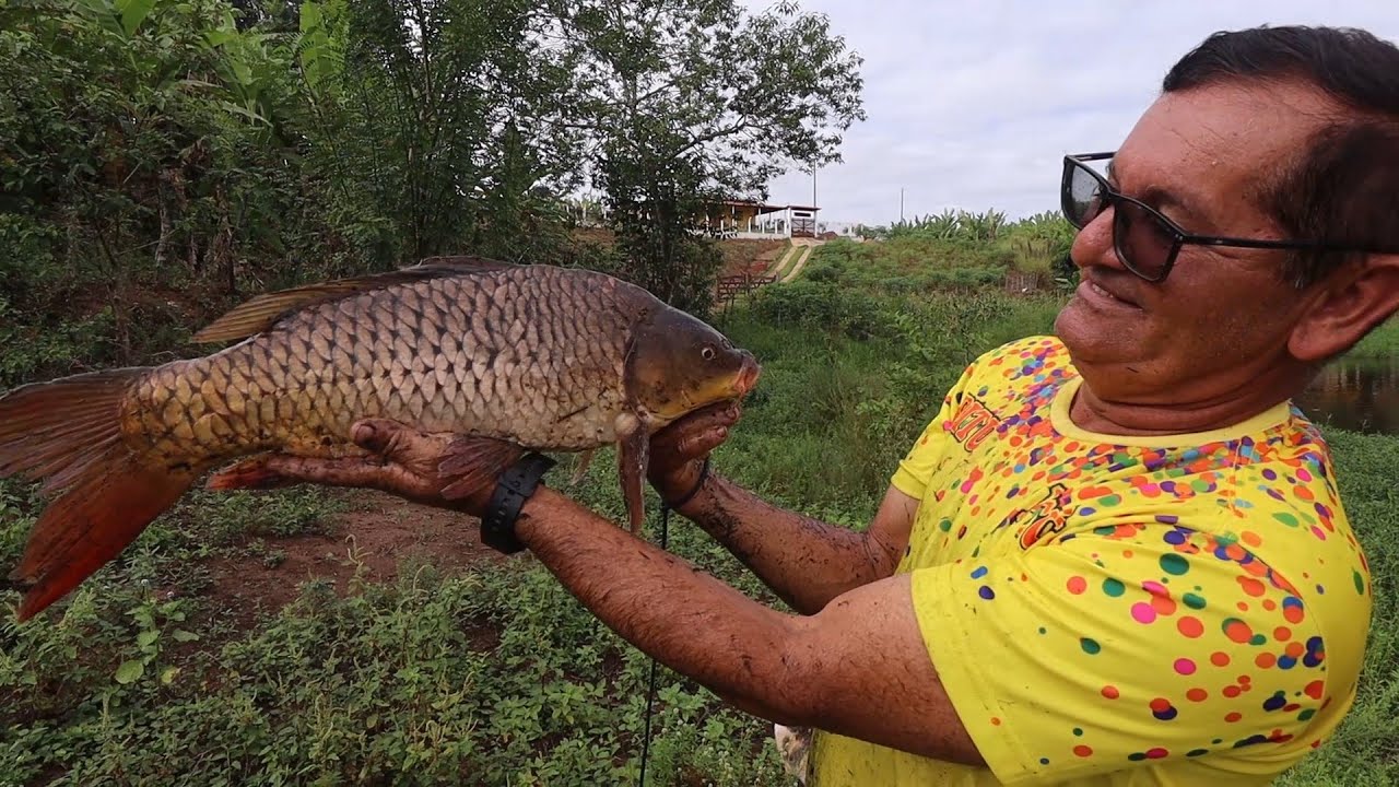 PESCANDO DE TARRAFA NA LAGOA + OLHANDO O COVO